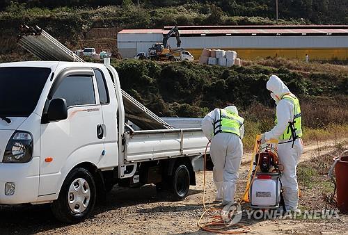 충주 한우농장서 충북 두 번째 럼피스킨병…차단방역 비상