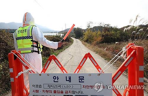 강원 고성군 한우 농가서 럼피스킨 추가 발생…도내 6번째