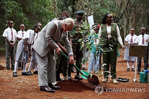 케냐, 13일 깜짝 공휴일 선포…"150억 그루 나무심기 계획 일환"