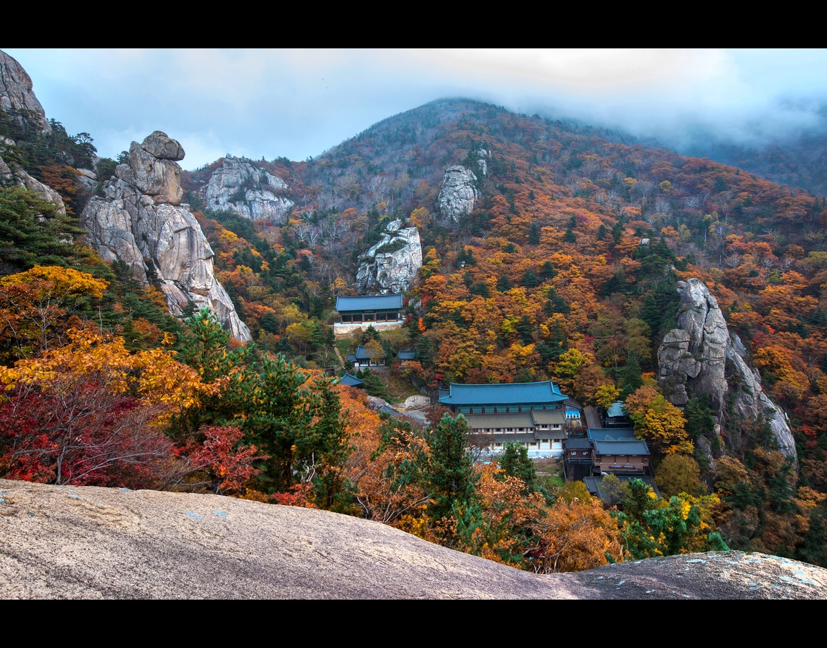 가을꽃 축제부터 용대리 겨울까지…미시령 힐링가도 사진상 선정