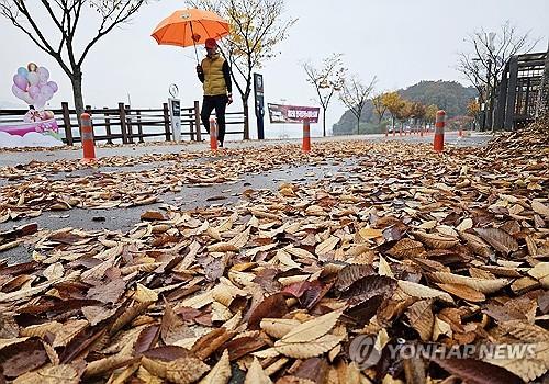 강원 구름 많다가 차차 흐려져…영서지역 5㎜ 내외 비