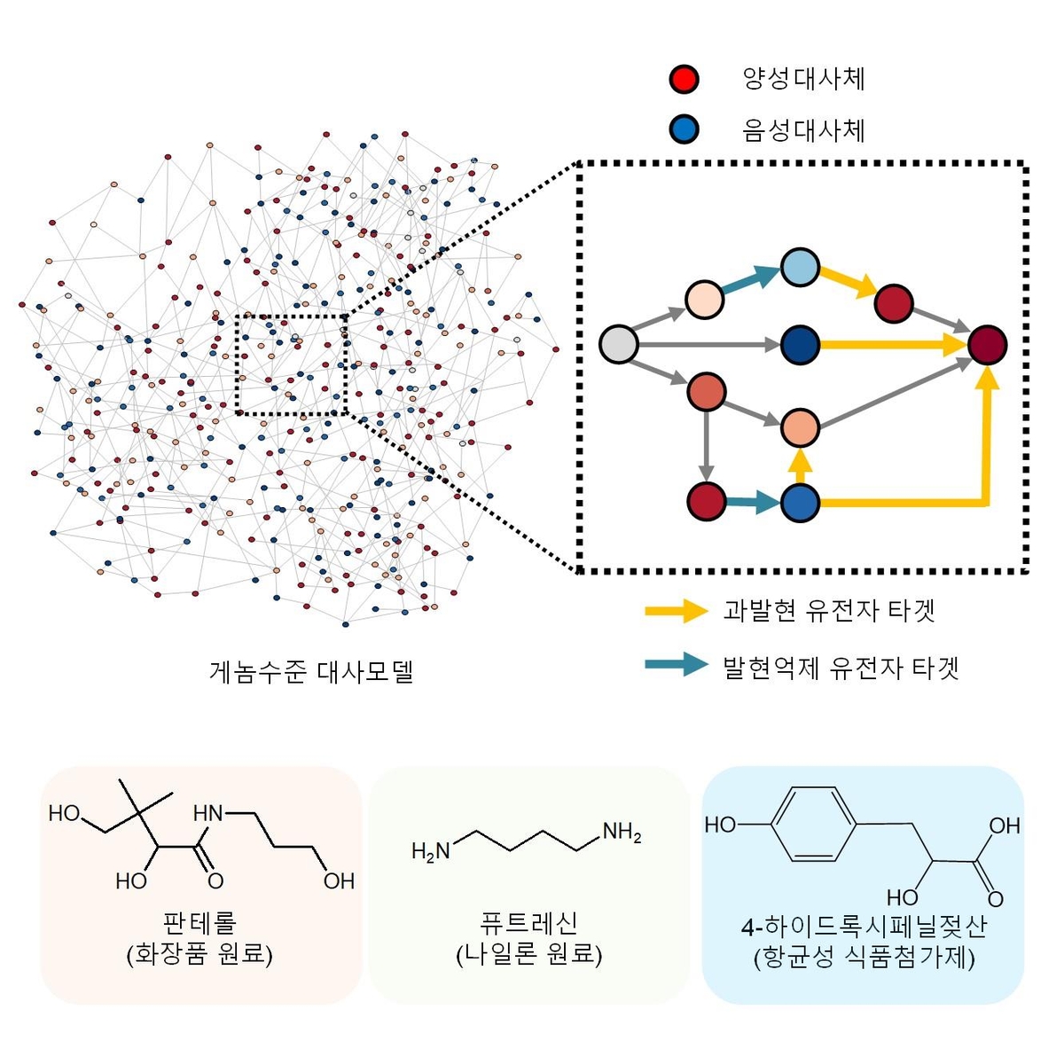 KAIST, 미생물 세포공장 빠르게 구축 시뮬레이션 프로그램 개발