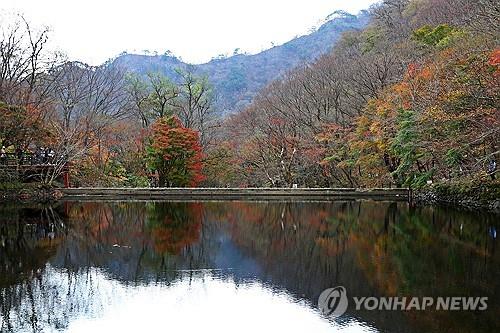 [픽! 정읍] 깊어가는 가을…하나둘 떨어지는 내장산 단풍