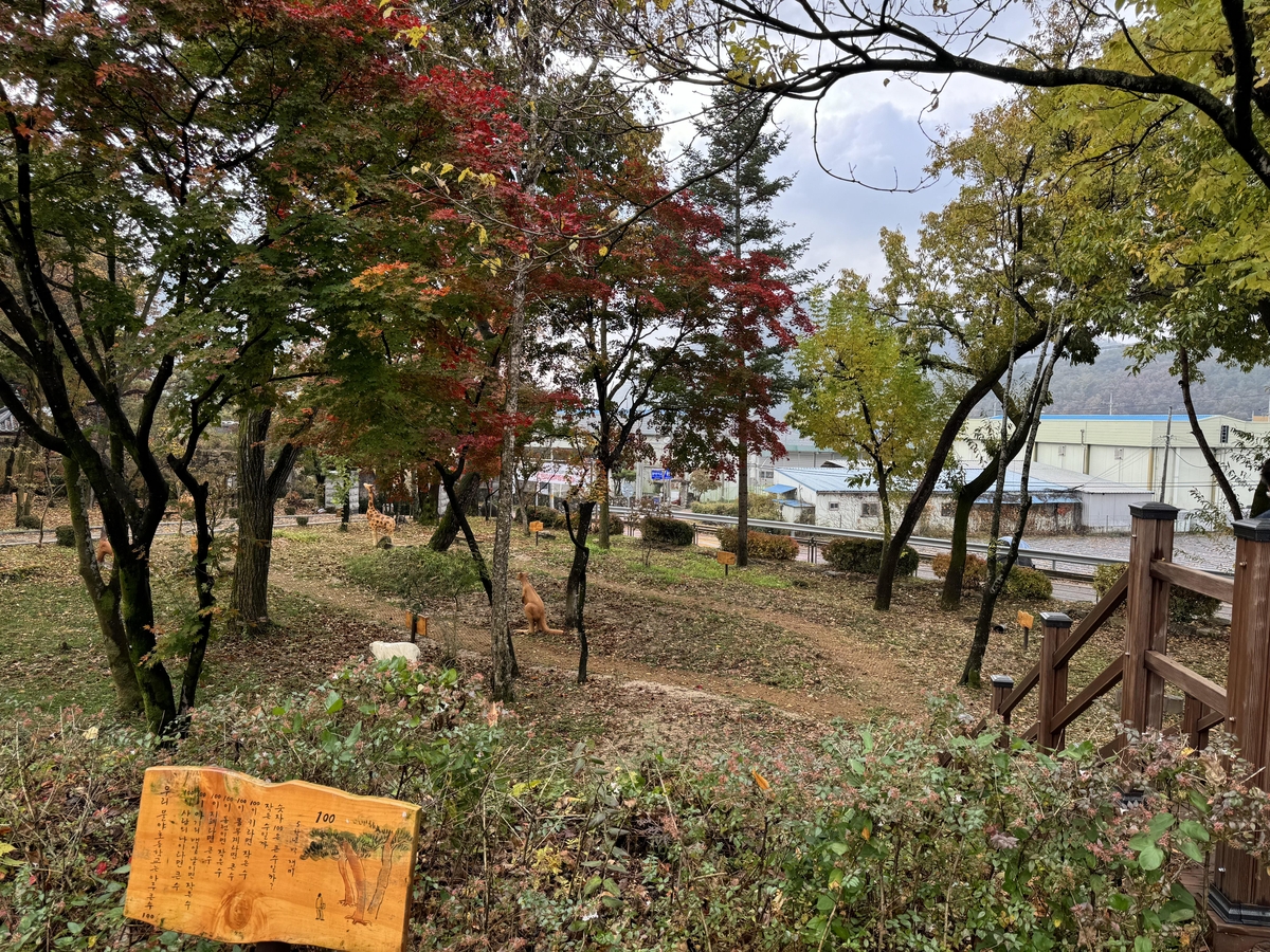 도심 속 생태학습 공간, 제물포여중 등 7곳 '우수 학교숲' 선정