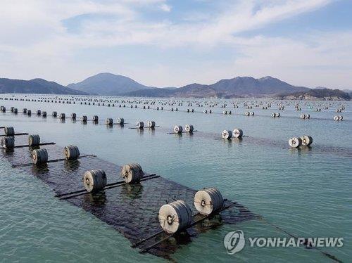 한국 '김' 수출 7억달러 첫 돌파…세계 120개국으로 시장 확대