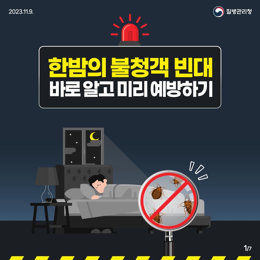 경기도에서도 빈대 5건 확인…대책본부 꾸려 집중 방제