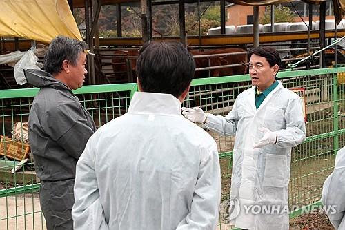 '가축 전염병과 전쟁 중인데' 강원 수의직 공무원 태부족