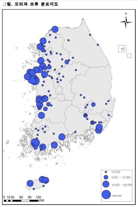 전국에 겨울철새 98만마리…지난달보다 38만마리 늘어