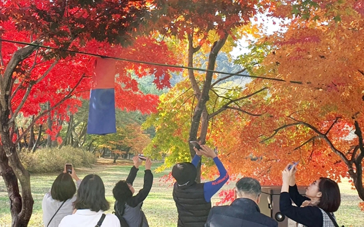 영월 동강사진박물관 사진 아카데미 인기