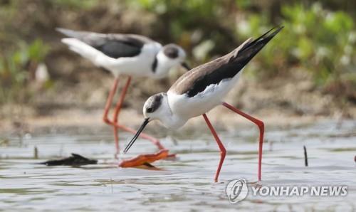 30년 넘게 경남 이모저모 기록, 턱수염 공무원 최종수씨 퇴임