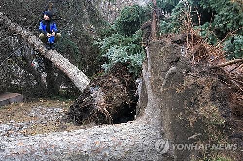 러 시베리아 강타한 폭풍에 4명 사망…대규모 정전사태도