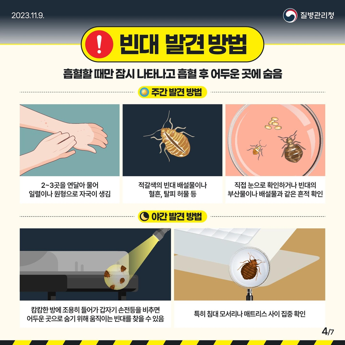 삼척시, 12월 8일까지 빈대 취약 시설 집중 점검