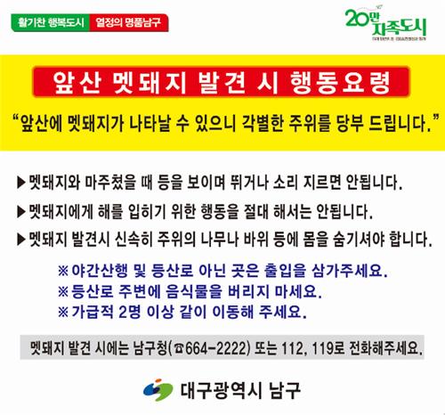 "가을철 도심 멧돼지 출몰 급증"…지자체 포획단 비상