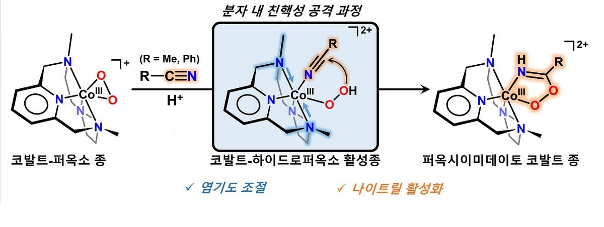 UNIST "암세포만 골라 죽이는 항암전구체 새 제조방법 발견"