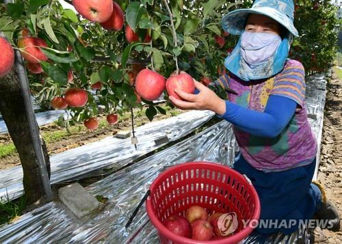 전북농협, 이마트 전국 140개 매장서 우수 농산물 특별판매전