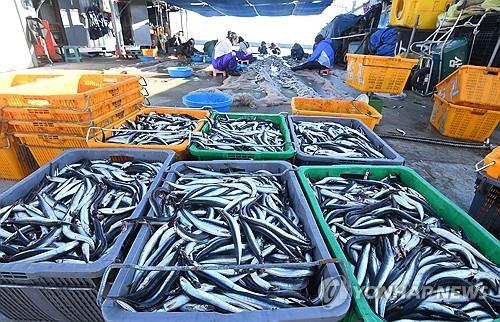 주말 강추위에 전국 관광지 한산…등산로·축제장은 북적