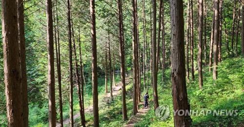 전북도, '에코힐링 일번지' 추진…생애주기별 산림서비스 확대