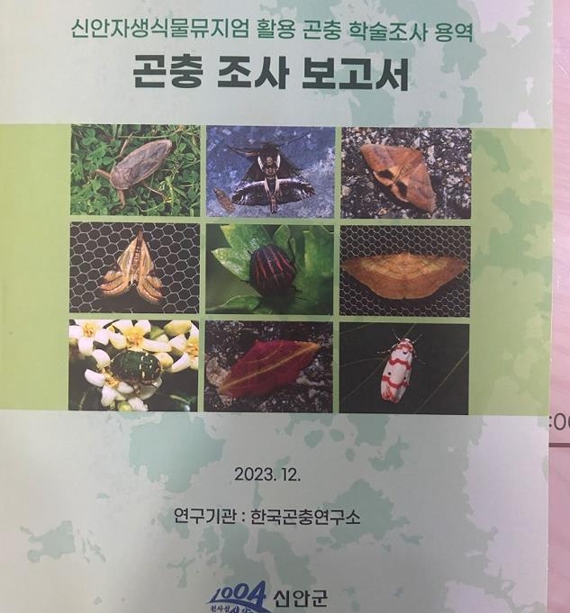 신안군, 곤충 학술조사 보고서 발간…"멸종위기 등 6종 확인"