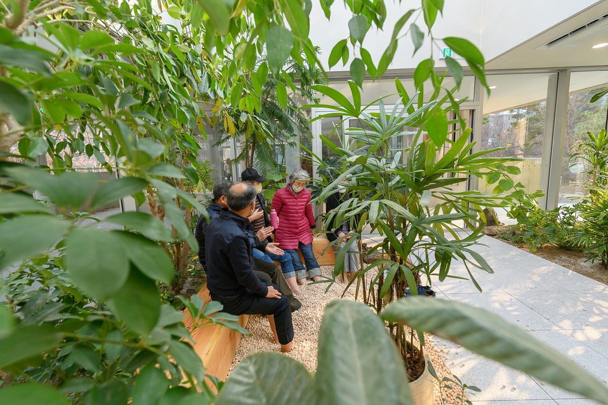 "겨울에 피톤치드 샤워를"…양천구 '감각의 숲' 온실 운영