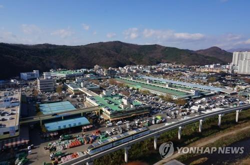 대구농수산물유통공사 내년 1월 출범…"영남내륙권 거점 역할"