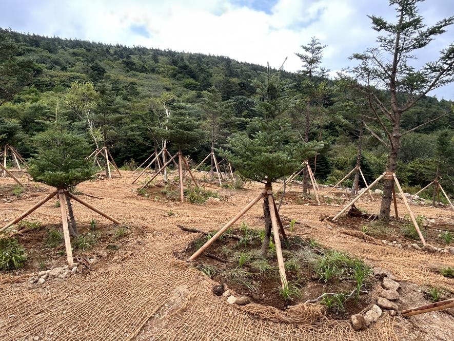 지리산 세석평전 야영장 쓰레기 파낸 곳에 자생종 1만그루 식재