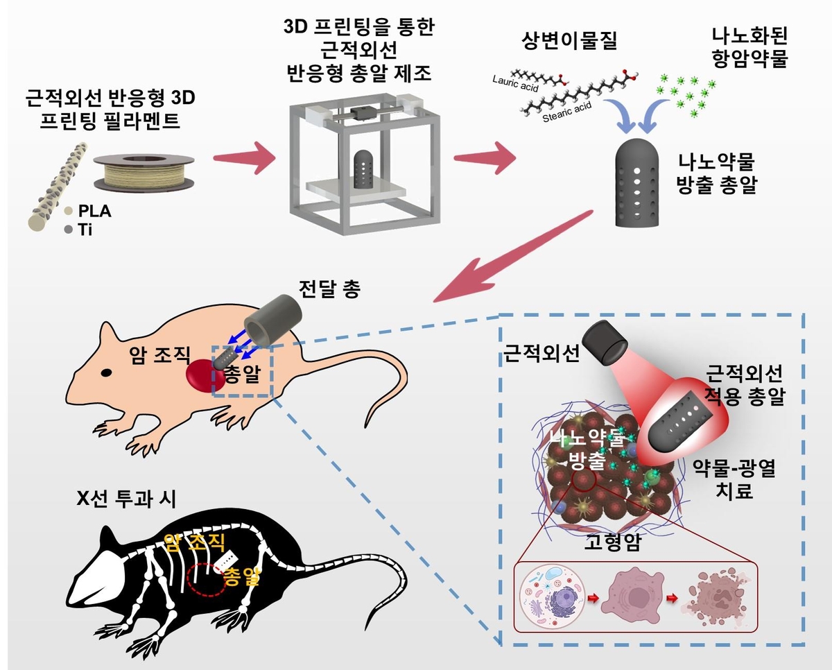 암 조직 타깃 항암약물 방출해 치료하는 암 표적 총알 개발