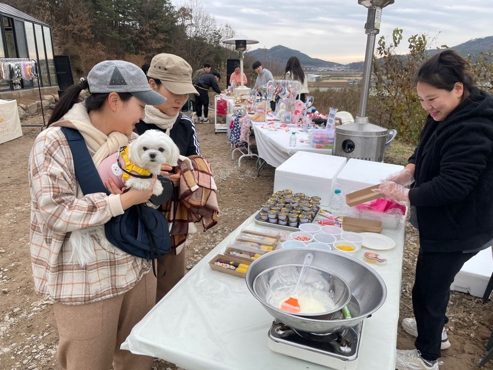 경북 의성에서 열린 반려견 축제 '2023뚜렁이페스타' 성황리에 막 내려