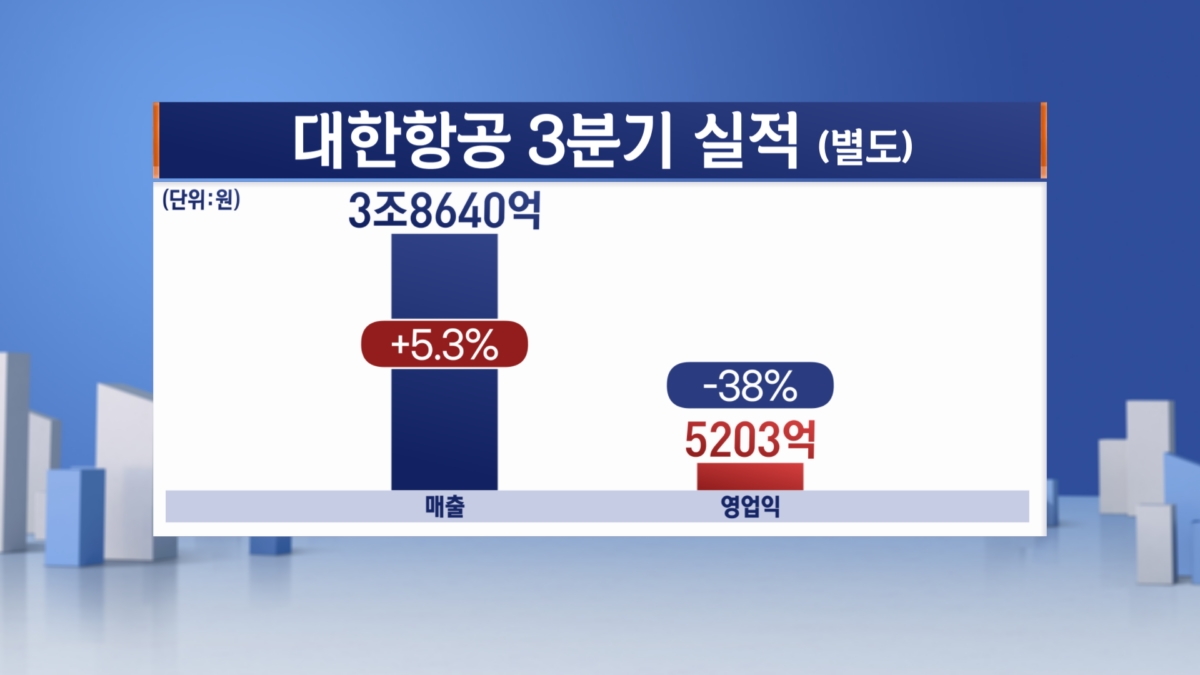 대한항공 "4분기 여객·화물 특수 노린다"