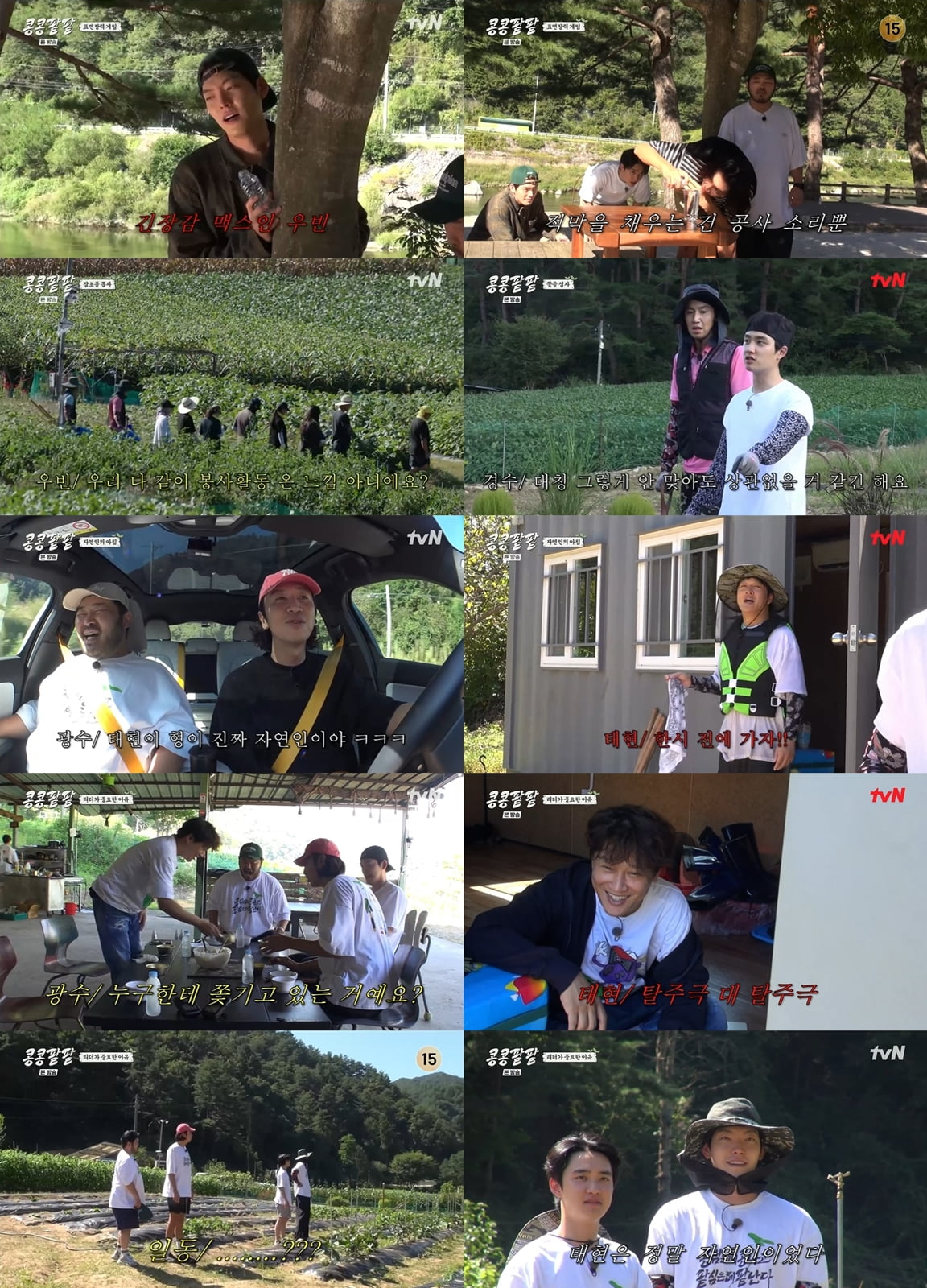 /사진=tvN '콩 심은 데 콩 나고 팥 심은 데 팥 난다' 방송 화면