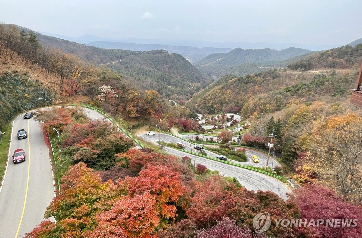 '붙잡고 싶은 가을'…초겨울 날씨에도 유명 산·관광지 '북적'