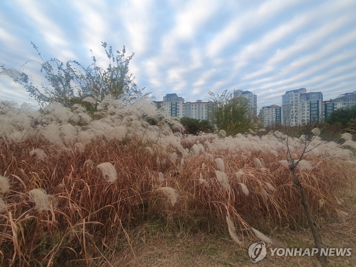 대구·경북 맑고 낮 기온 12∼15도…미세먼지 '보통'