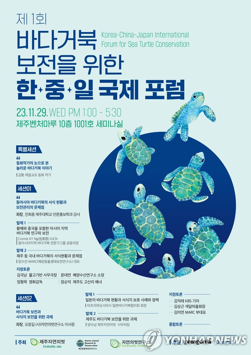 바다거북 보호 위한 한중일 국제포럼 제주서 개최
