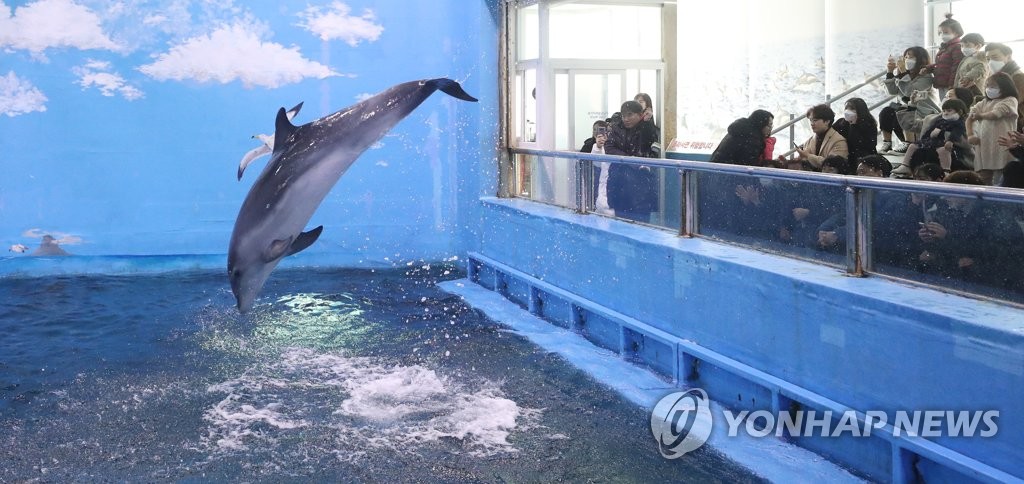 시설물 교체로 휴관한 울산 고래생태체험관 12월 재개관