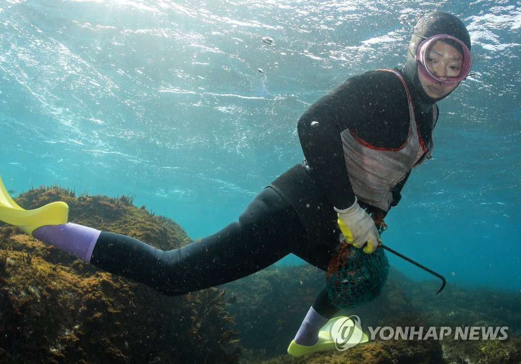 자연·이웃과 공생 '제주해녀어업', 세계중요농업유산 등재 결정