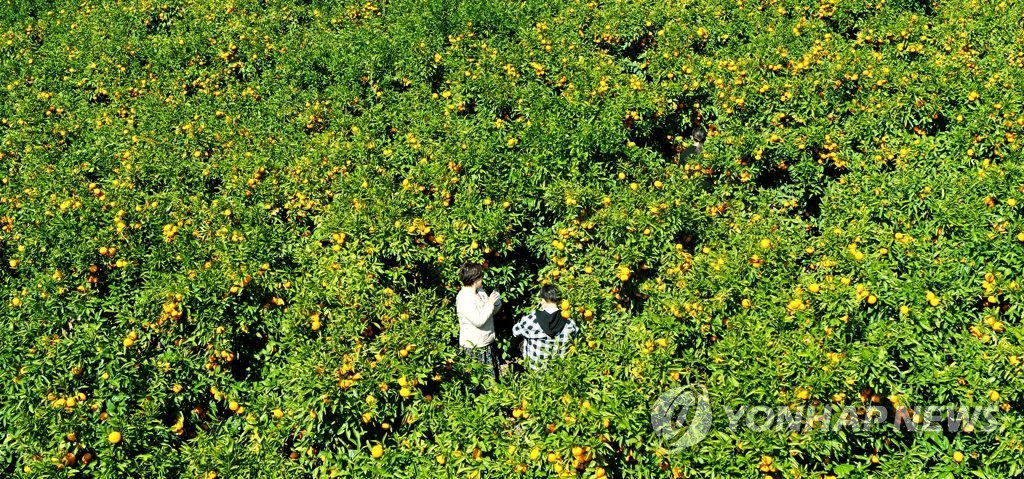 [제주소식] 제주 관광객 99％ "친환경 여행할게요"