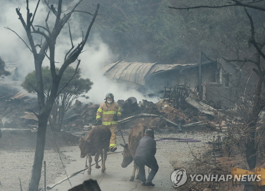 불 끄다 추락·화상…강원소방관 매년 100건 이상 안전사고 노출