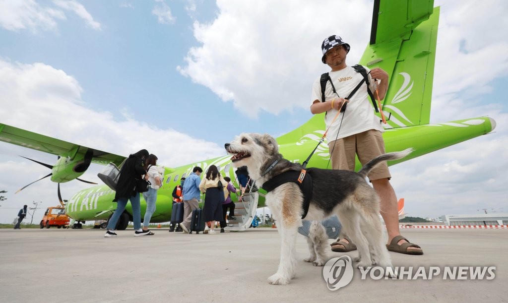 '반려동물 자주 찾는 제주' 우선 과제는 "항공기 전용석 확대"