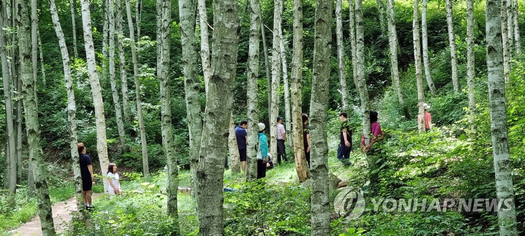 김천치유의숲, 산림치유프로그램 경진대회서 최우수상