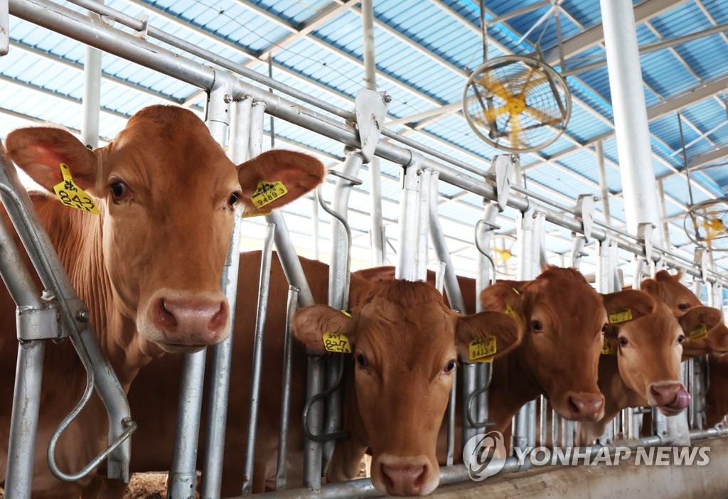 온실효과 CO2 28배인 '메탄'…2030년까지 배출량 30% 이상 감축