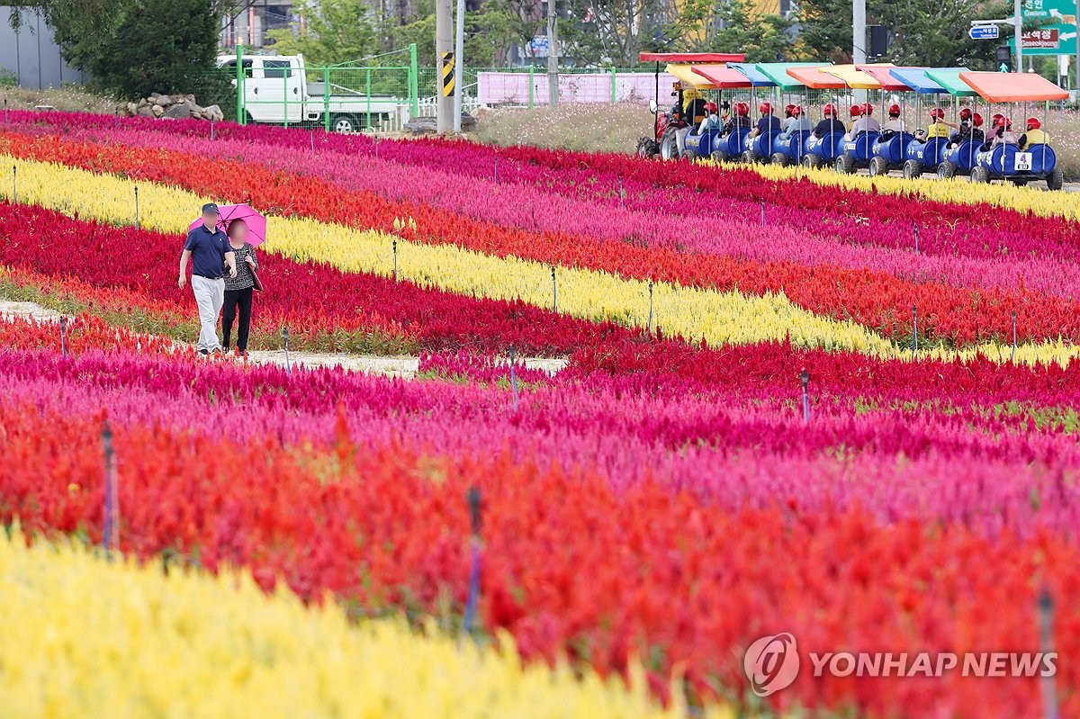 철원 고석정 꽃밭 화훼 판매장 운영 종료…매출 3천만원 넘겨