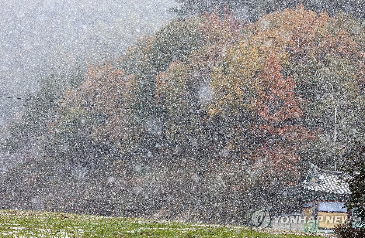 서울 올가을 첫눈…찬바람에 영하권 추위