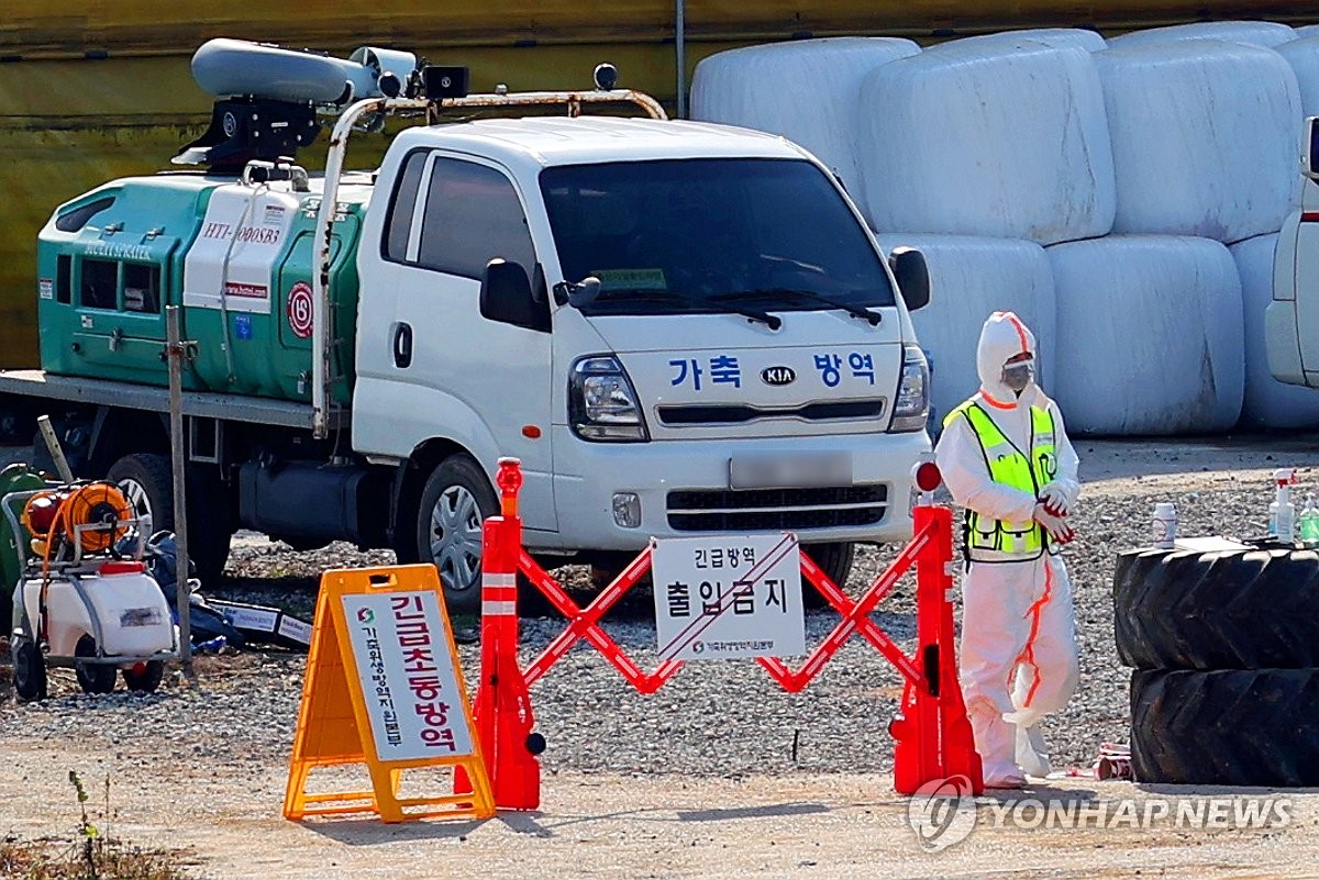 "럼피스킨 안정화 추세…일부선 산발적 발생 가능성도"