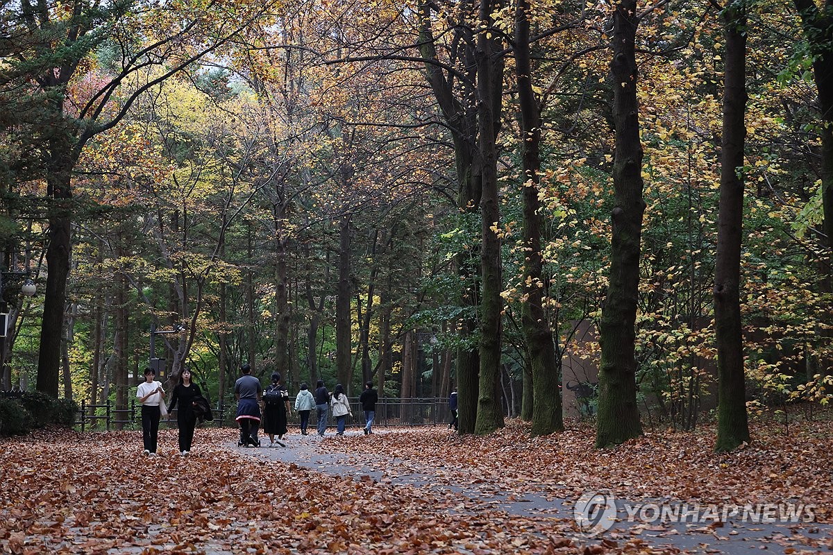 [날씨] 포근한 가을…서울 낮 최고 24도