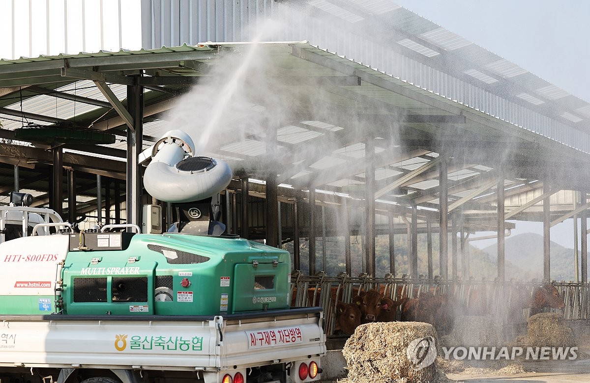 "럼피스킨 발생지역에서도 한우 수출"…홍콩과 협상