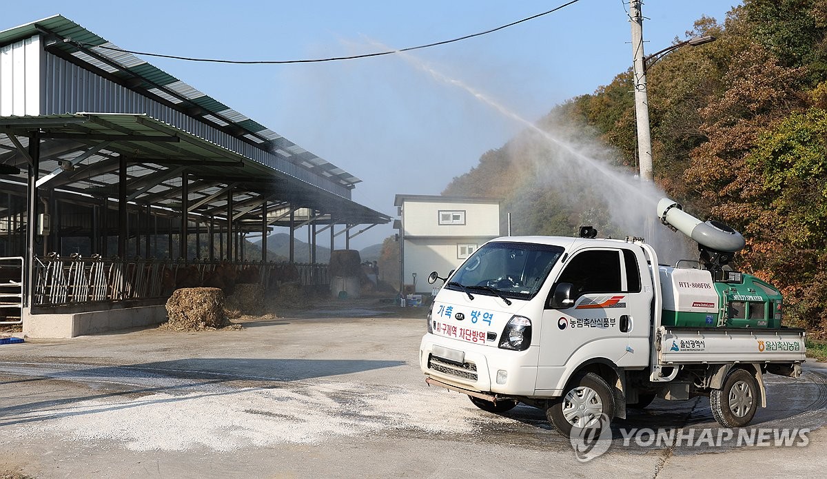 전북 고창 한우농가서 럼피스킨 의심 신고