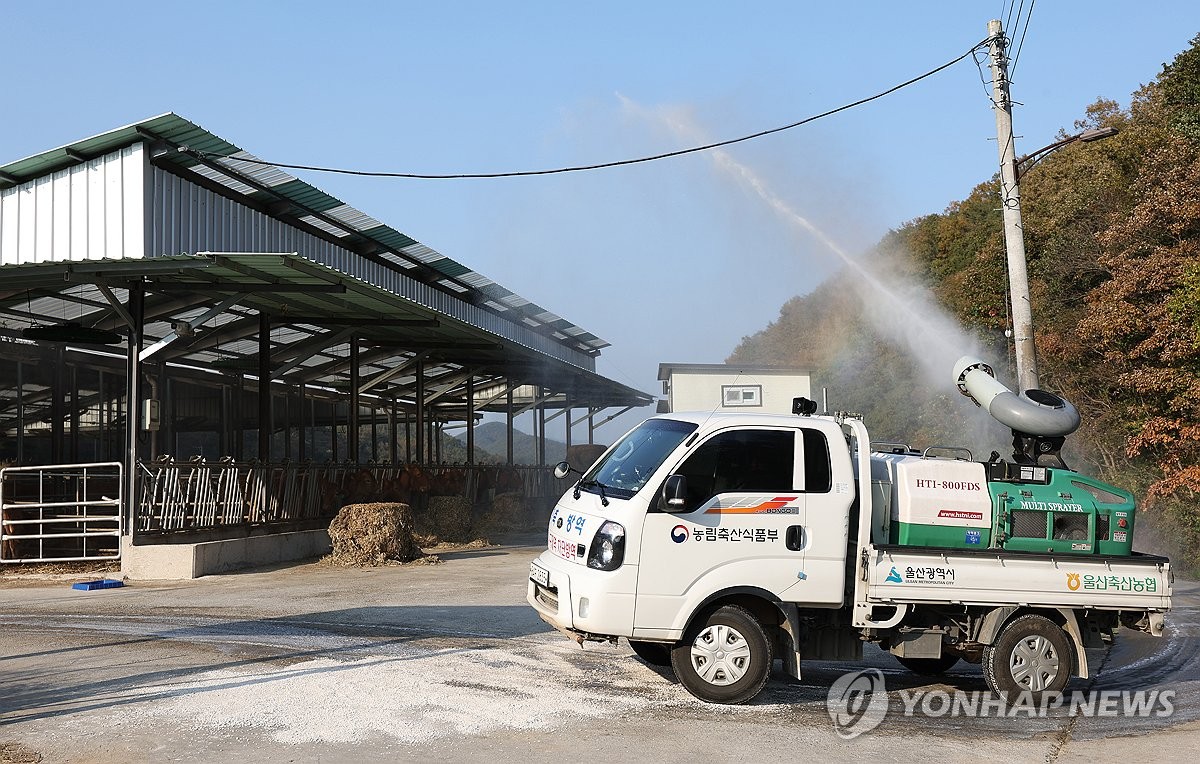 소 럼피스킨 확진 106건으로 늘어…강원 고성서 추가