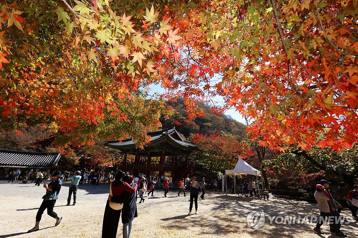 전국이 가을 축제로 '들썩'…단풍 유명산마다 '인산인해'
