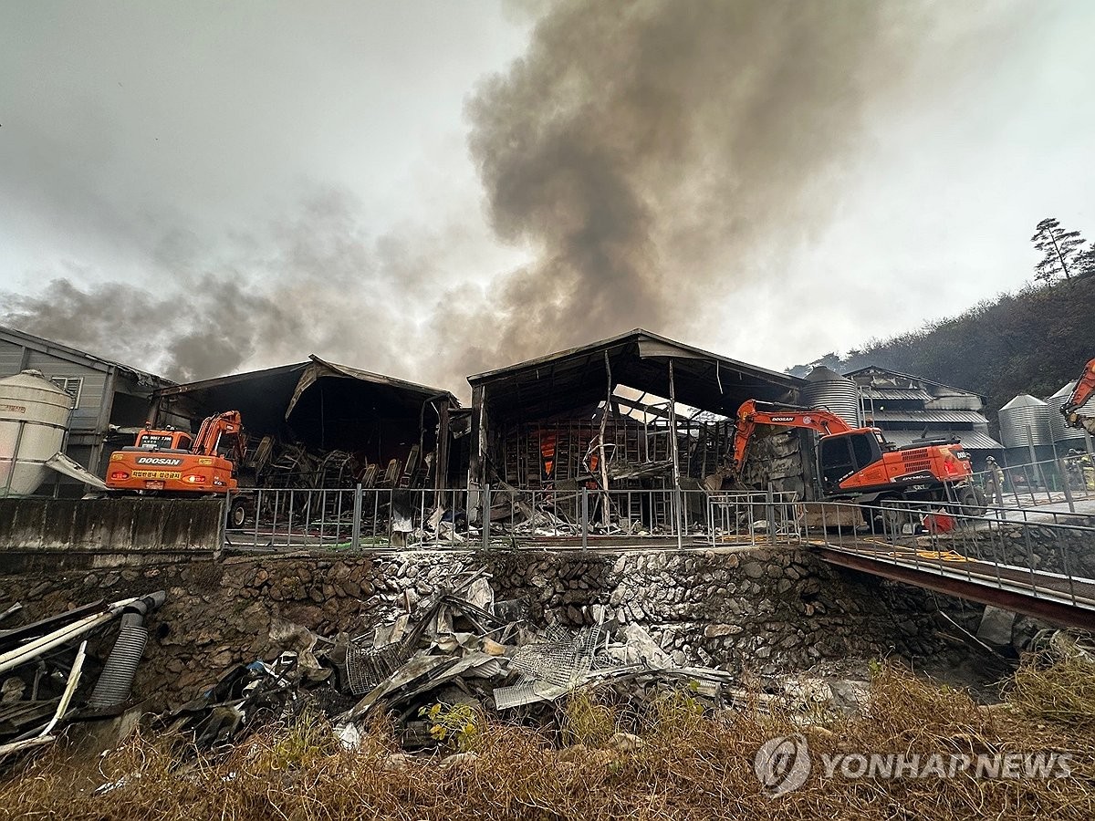 삼척 양계장 화재 5시간 30분 만에 꺼져…28만마리 떼죽음(종합)