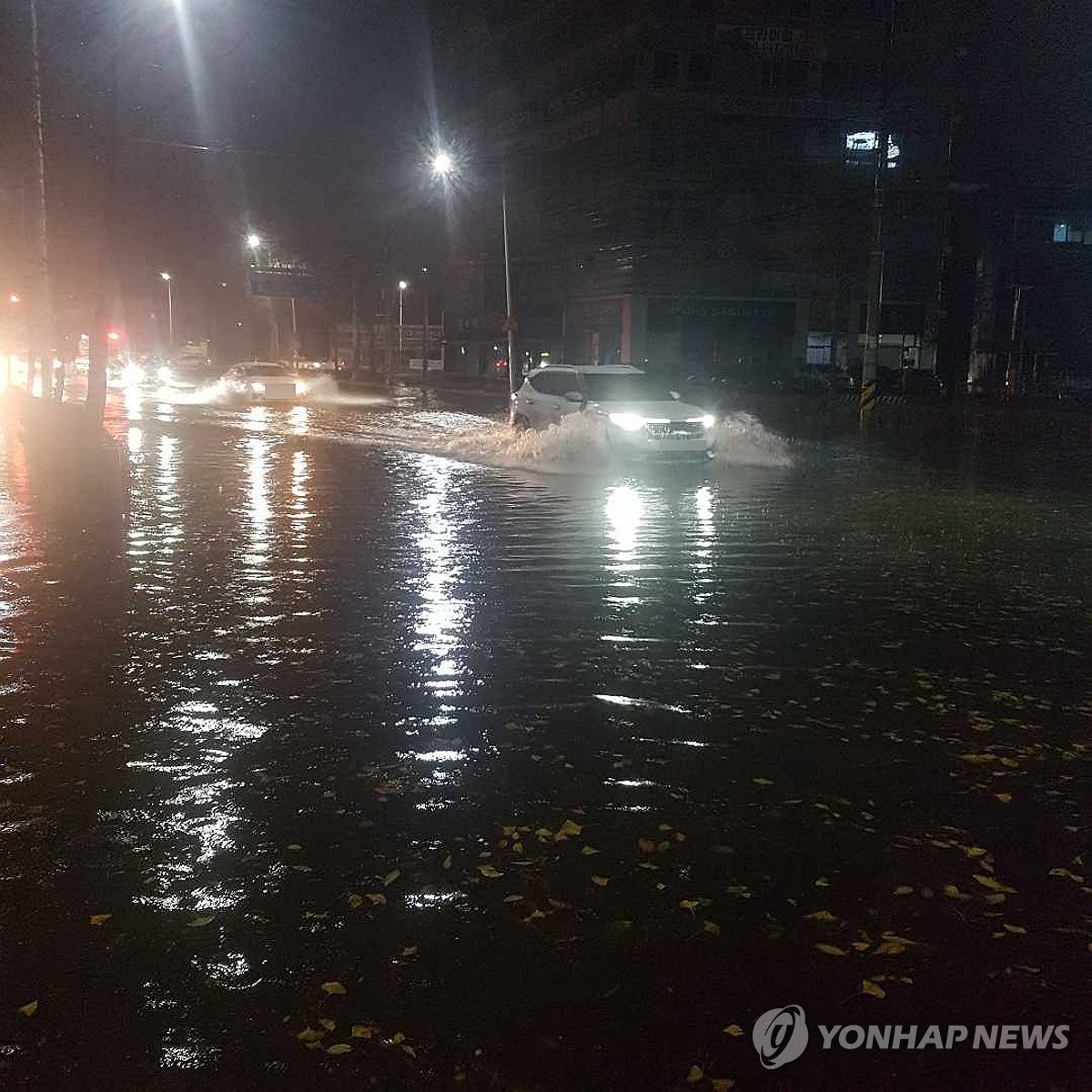 갇히고, 잠기고, 쓰러지고…강원 곳곳서 비 피해 잇따라