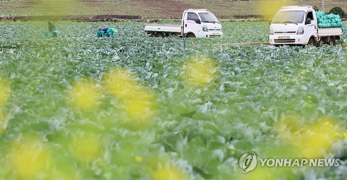 제주 구름 많다가 낮부터 맑아져…낮 기온 17∼20도